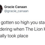 Disney Memes - The Lion King