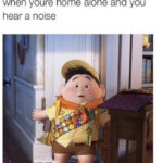 Disney Memes - home alone Up