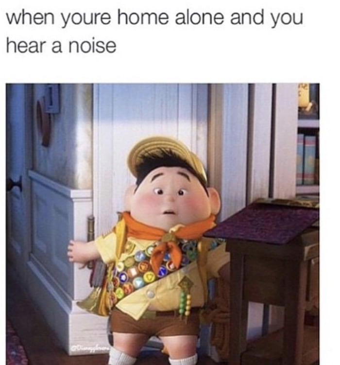Disney Memes - home alone Up
