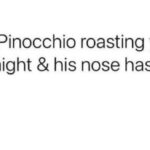 Disney Memes - Pinocchio roast