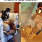 Disney Memes - cats doing lion king