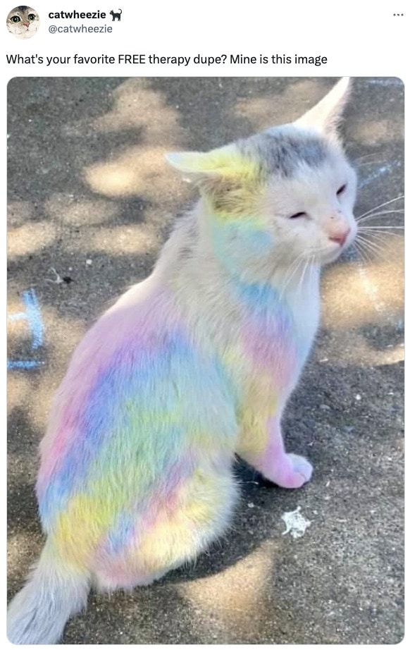 Therapy Memes - rainbow cat