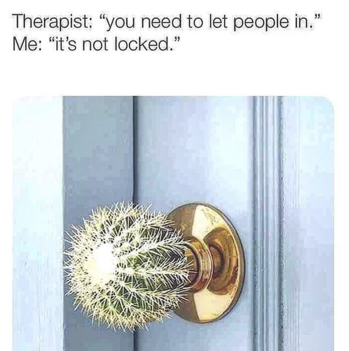 Therapy Memes - cactus door