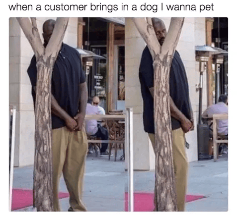 Working In Retail Memes - customer with a dog