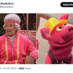 Golden Girls as Muppets - Sophia in a pink tracksuit with pig