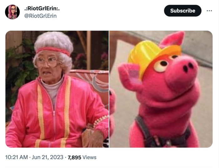 Golden Girls as Muppets - Sophia in a pink tracksuit with pig