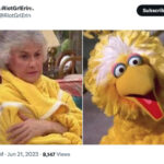 Golden Girls as Muppets - Dorothy in a yellow sweater with Big Bird