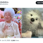 Golden Girls as Muppets - Sophia in white with Muppy