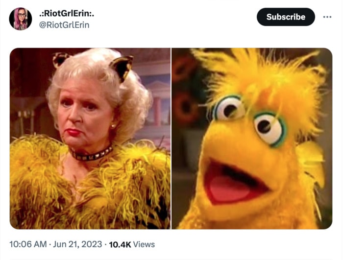 Golden Girls as Muppets - Rose in a cat costume with Arthur
