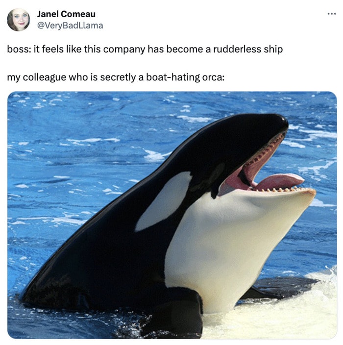 Orca Memes - secretly an orca