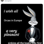 Orca Memes - bugs bunny have a pleasant time