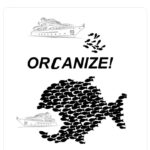 Orca Memes - organizing orcas