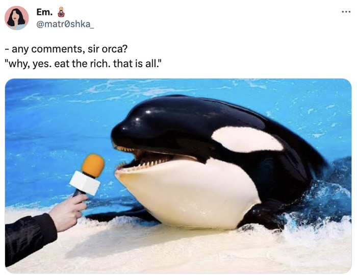 Orca Memes - orca interview