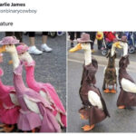 barbenheimer memes - geese dressed up