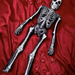 oversized skeleton body pillow - gothic noir skeleton pillow