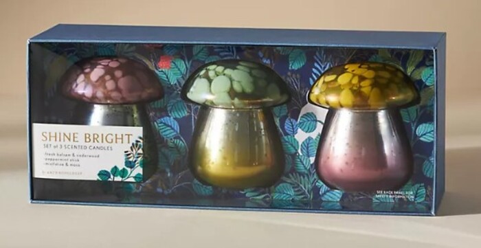 Best Anthropologie Gifts 2023 - Porcini Mushroom Glass Candle Gift Set