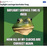 fall back memes daylight savings time - bachelor frog