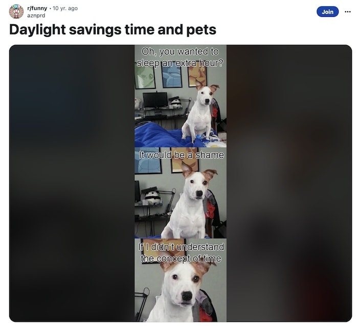 fall back memes daylight savings time - pets