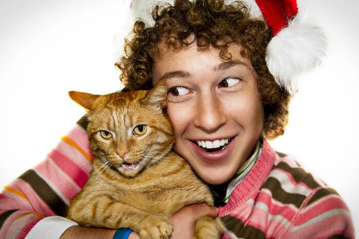Funny Christmas Photos - cat and boy
