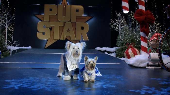 funny christmas movies on netflix - puppy star christmas